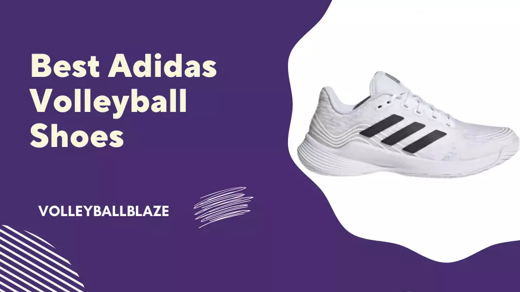 Best Adidas Volleyball Shoes
