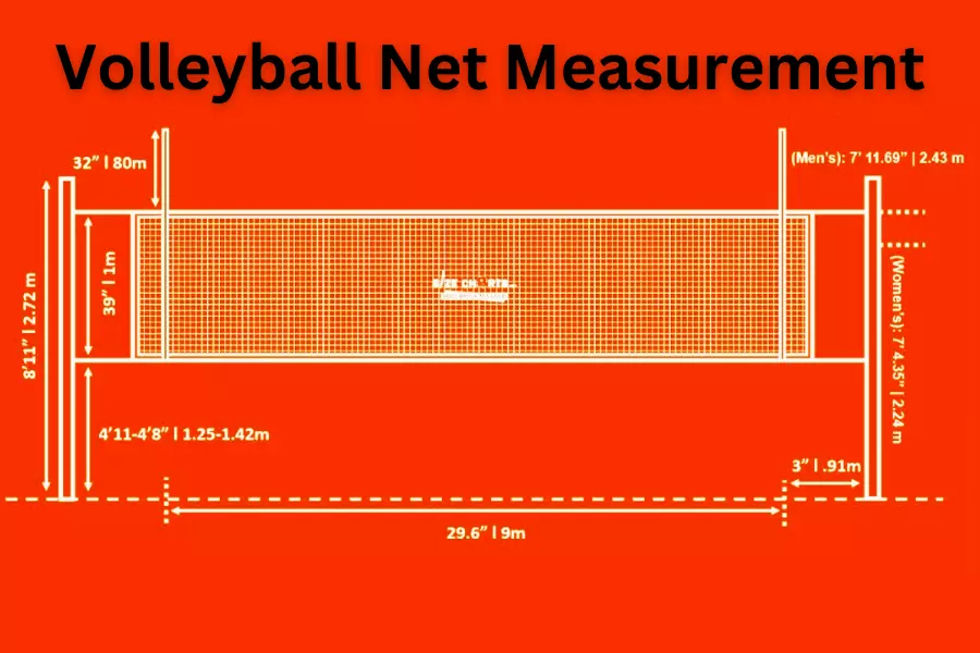 How Tall Are Volleyball Nets