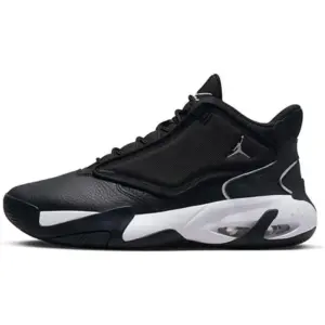 Nike Air Jordan Max Aura Basketball Shoe