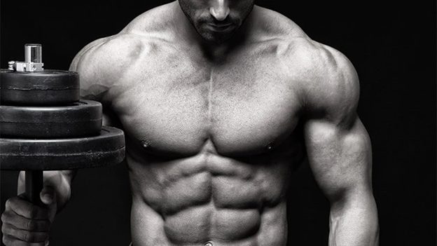 Shredding Fat, Preserving Muscle: The Role of S4 Andarine in Body Recomposition