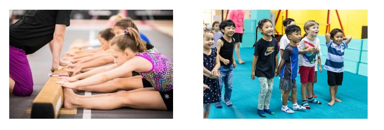 The Multicultural Environment